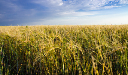 Similar image 6497980