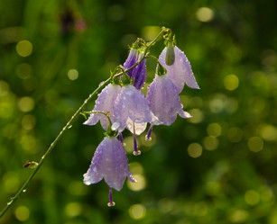 Similar image 6497981