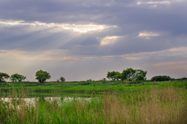 Similar image 6497983