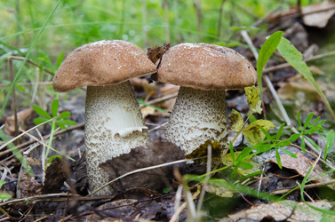 Similar image 6497984