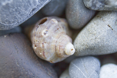 Similar image 6497986