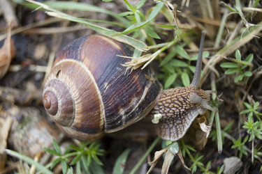 Similar image 6497989