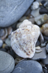 Similar image 6497990