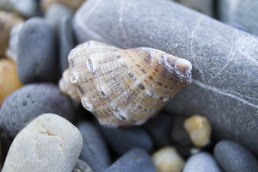 Similar image 6497991