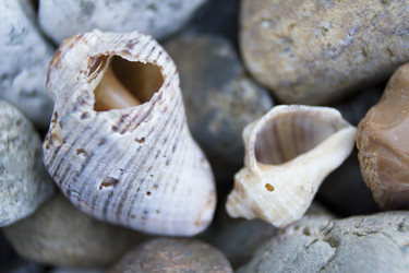 Similar image 6497992