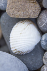 Similar image 6497993