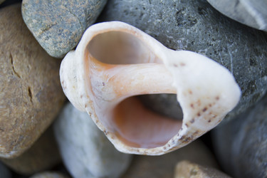 Similar image 6497994