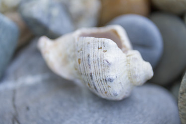 Similar image 6497995