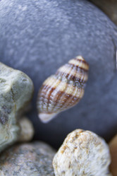 Similar image 6497996