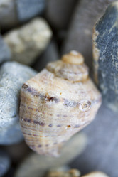 Similar image 6497997