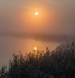 Similar image 6498001