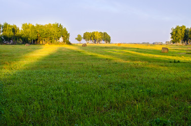 Similar image 6498003