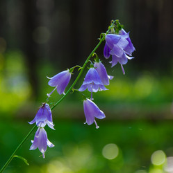 Similar image 6498005