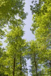 Similar image 6498013