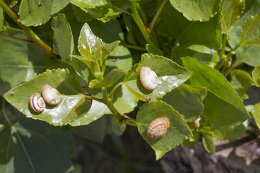 Similar image 6498020