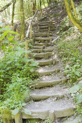 Similar image 6498026