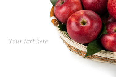 Similar image 6498027