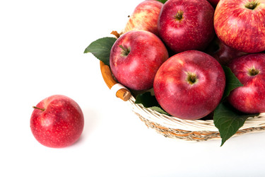 Similar image 6498030