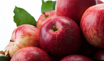 Similar image 6498032