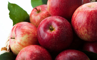 Similar image 6498034