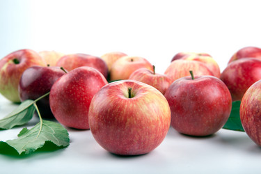 Similar image 6498045