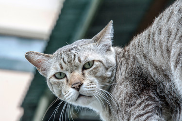 Similar image 6498060