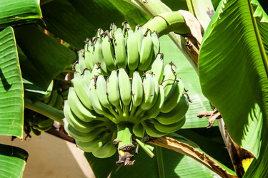 Similar image 6498064