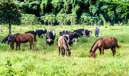 Similar image 6498065