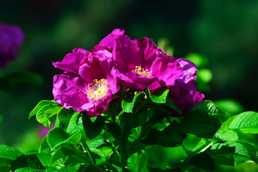 Similar image 6498067