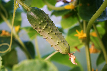 Similar image 6498071