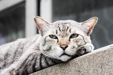 Similar image 6498089