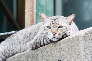 Similar image 6498090