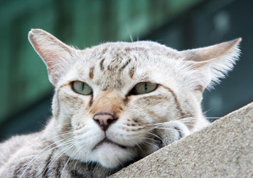 Similar image 6498091