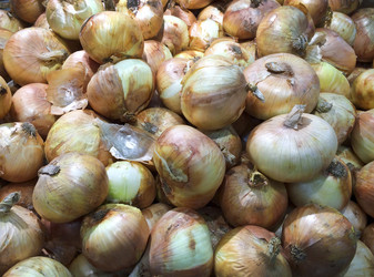 Similar image 6498106