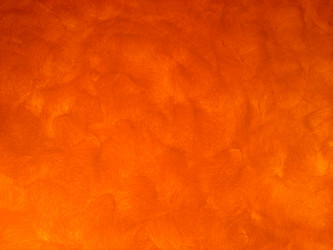 Similar image 6498118