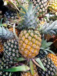 Similar image 6498123