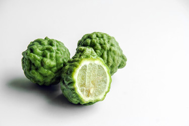 Similar image 6498134