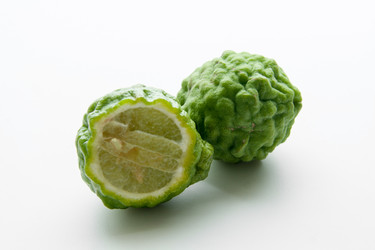 Similar image 6498141