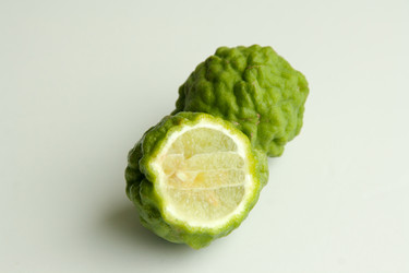 Similar image 6498142