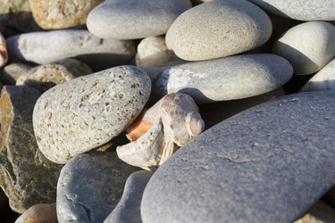 Similar image 6498143