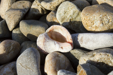 Similar image 6498144