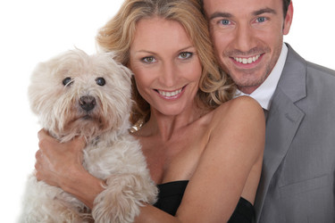 Similar image 6498243