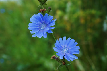 Similar image 6498282