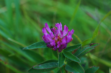 Similar image 6498283