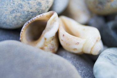 Similar image 6498306