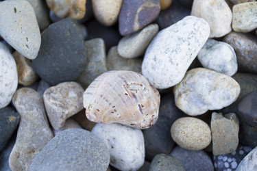 Similar image 6498307