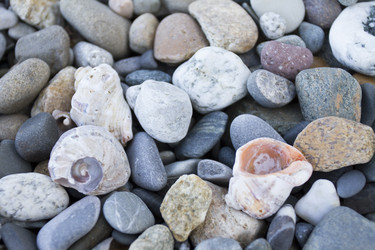 Similar image 6498309