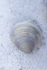 Similar image 6498311