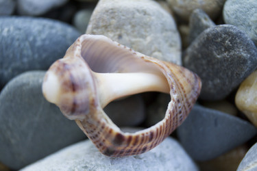 Similar image 6498312