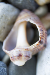 Similar image 6498313